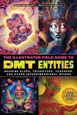 DMT, Chinese Mushrooms and "Little People" - Ties to Near Death Experiences 2 the illustrated field guide to dmt entities 9781644119198 lg